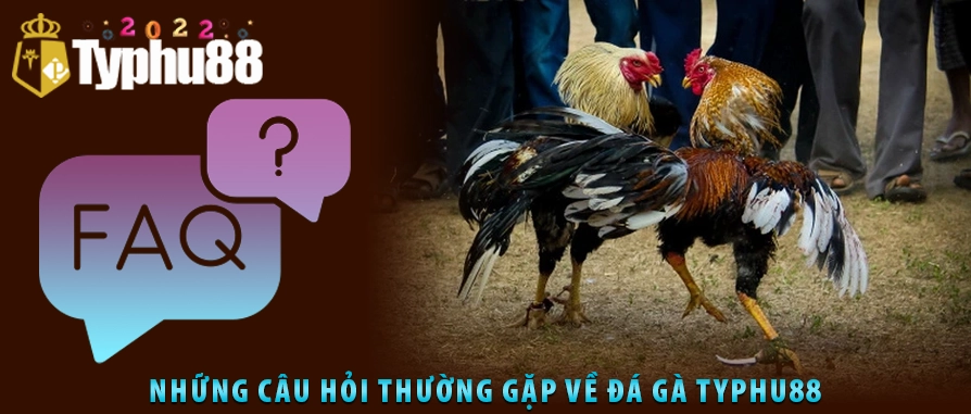 Hình vẽ cùng văn bản