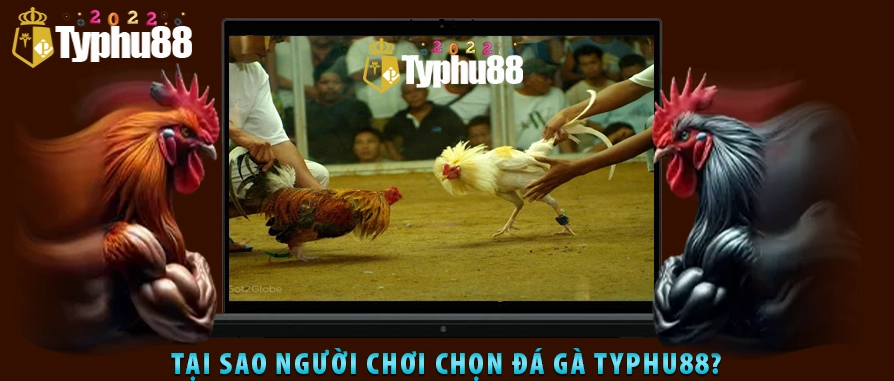 Có thể là hình ảnh về văn bản