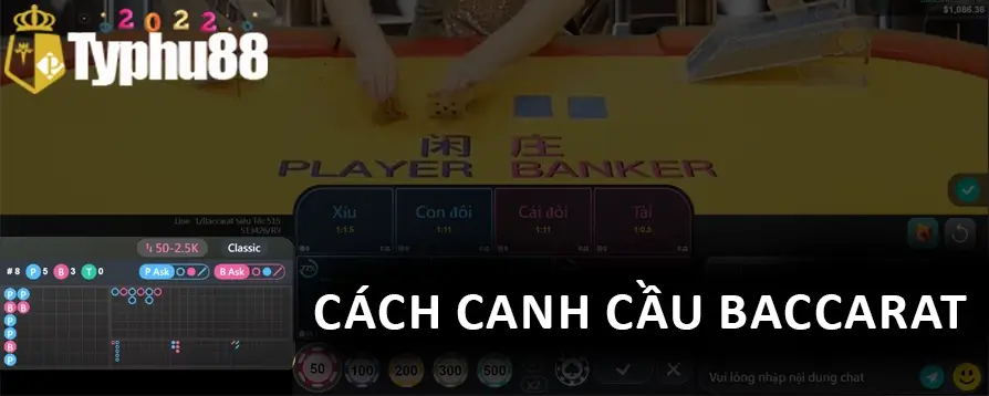 ảnh vẽ mô tả canh cầu Baccarat