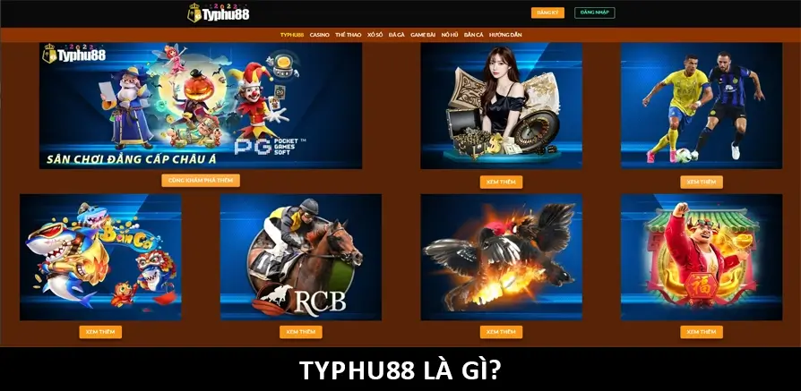 ảnh vẽ mô tả TYPHU88 là gì